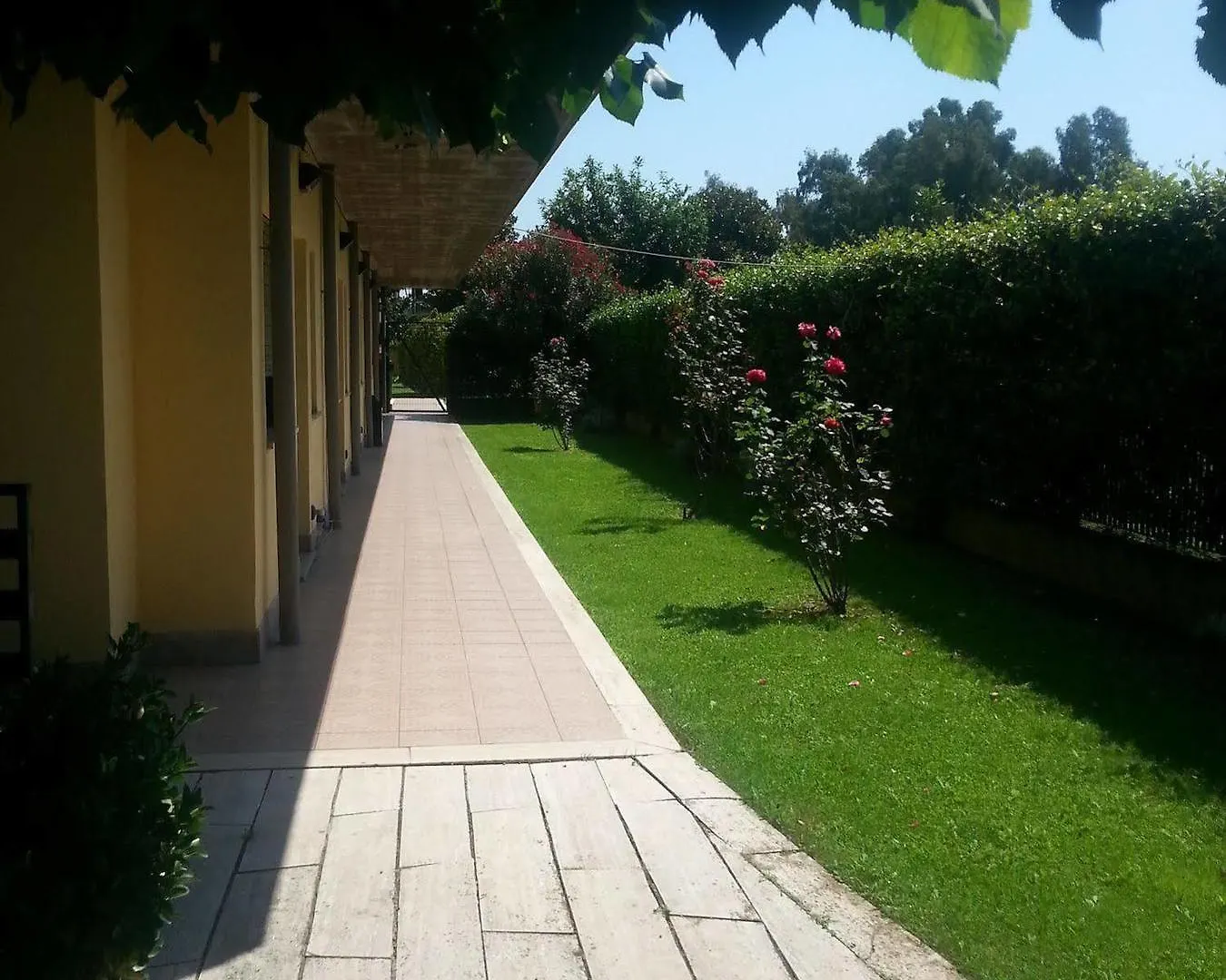 Hotel Laurence Rome